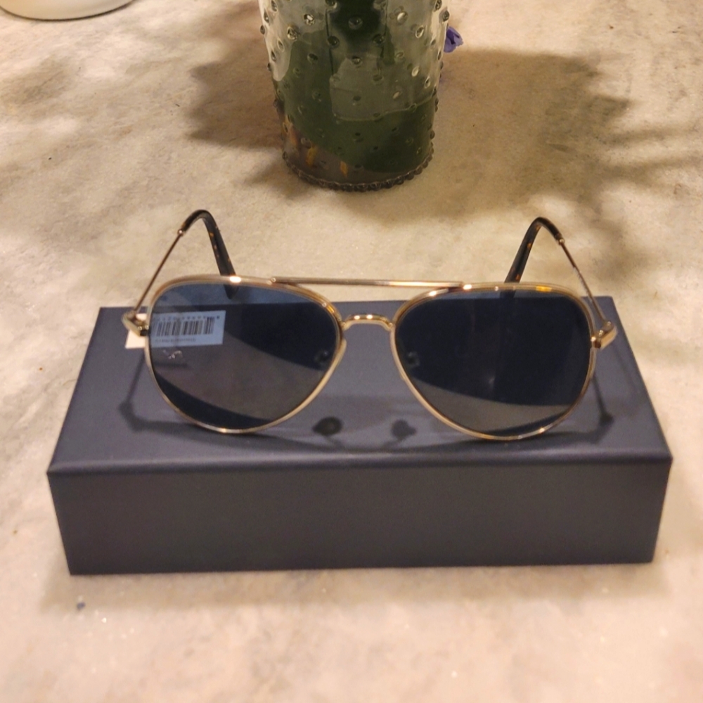 Warby Parker Raider Sunglasses